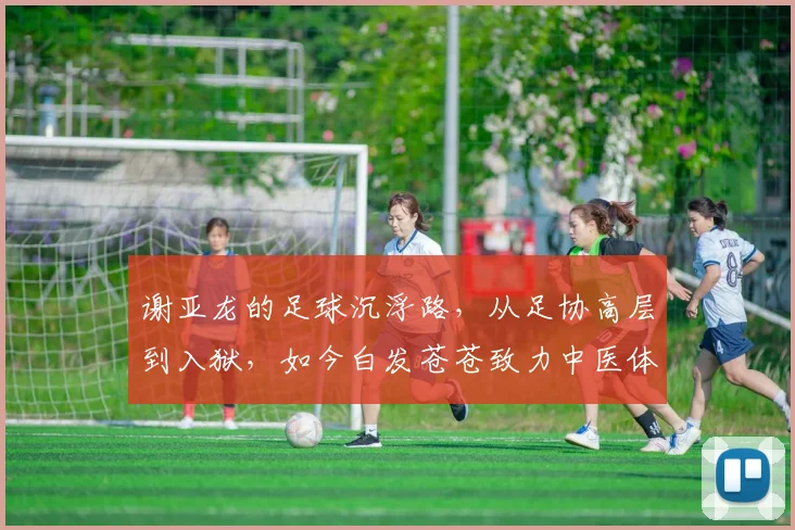 谢亚龙的足球沉浮路，从足协高层到入狱，如今白发苍苍致力中医体育康复