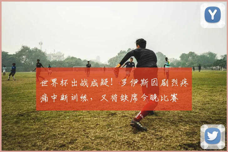 世界杯出战成疑！罗伊斯因剧烈疼痛中断训练，又将缺席今晚比赛