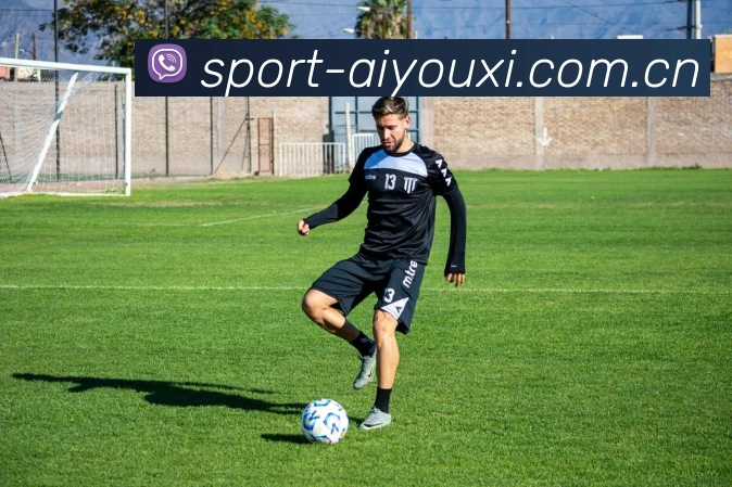 爱游戏体育平台生态图