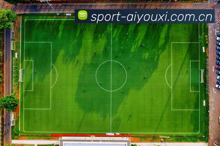 爱游戏体育APP 封面图