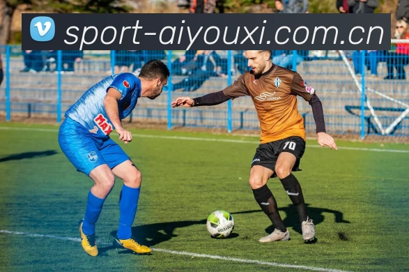 数据防护可视化